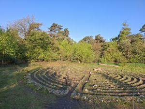 Het labyrinth