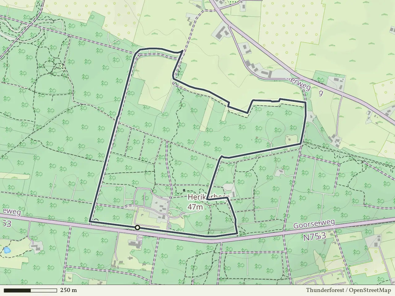 Paarse route vanaf Herikerberg, Markelo