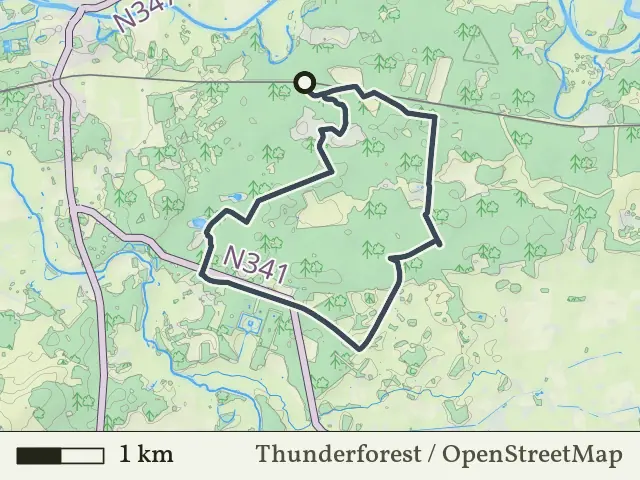 Groene route vanaf Sahara, Beerze